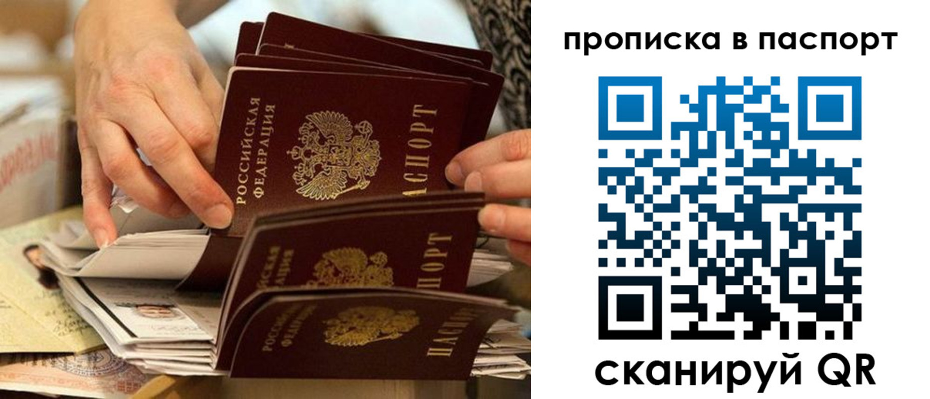 прописка законно в Новоалтайске